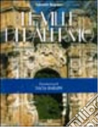 Le ville di Palermo libro